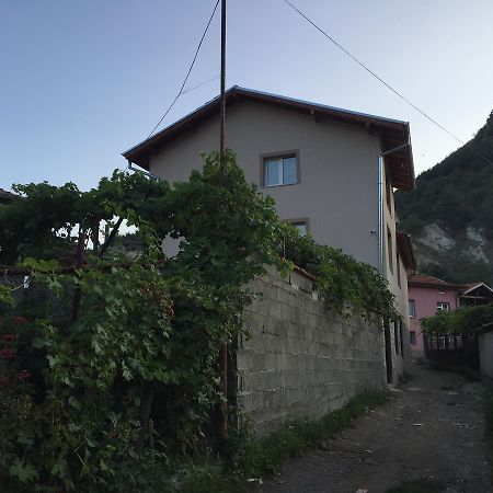 Elenite Guesthouse Goce Dełczew Zewnętrze zdjęcie