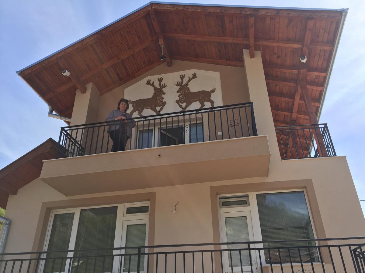 Elenite Guesthouse Goce Dełczew Zewnętrze zdjęcie