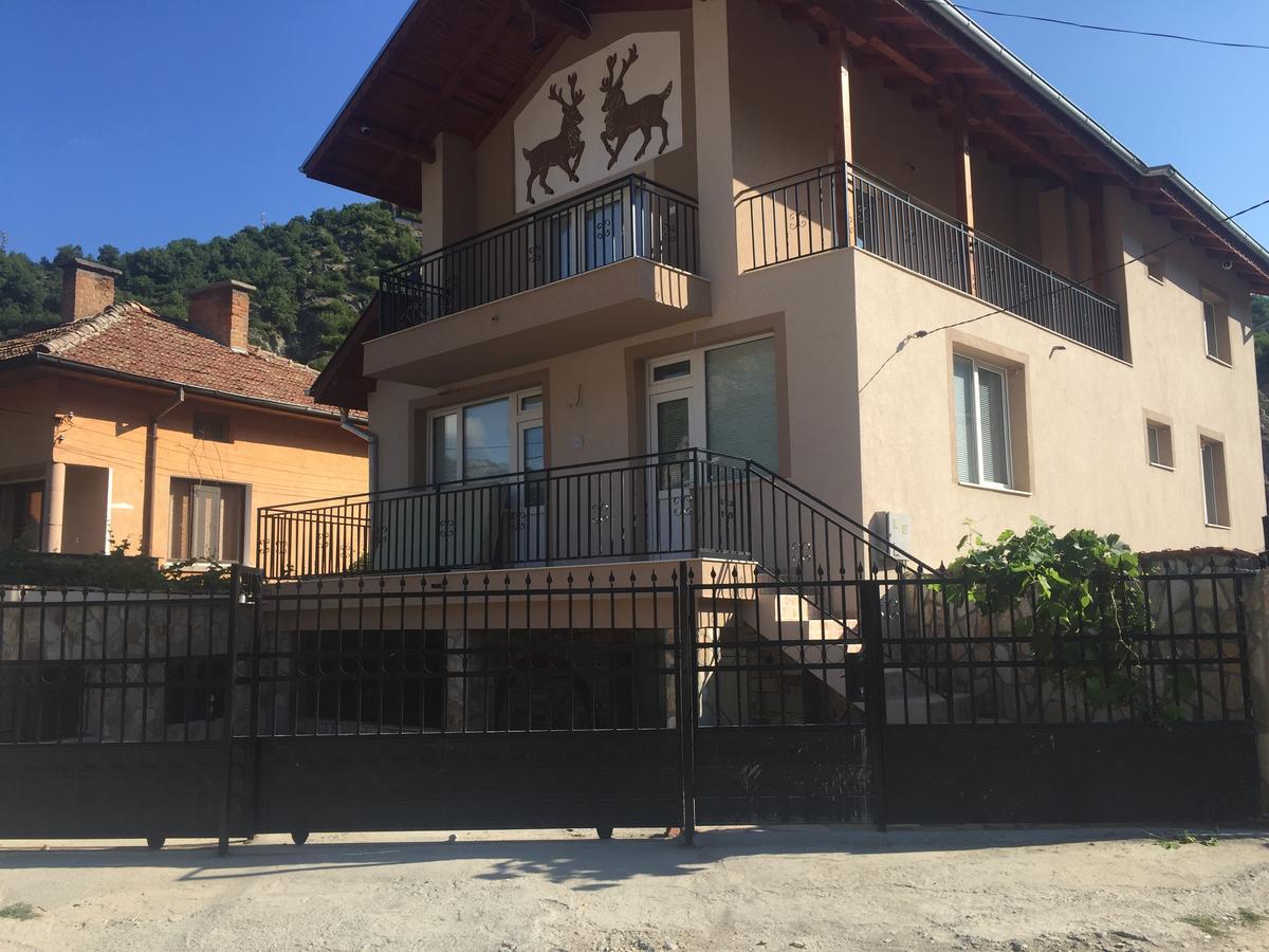 Elenite Guesthouse Goce Dełczew Zewnętrze zdjęcie
